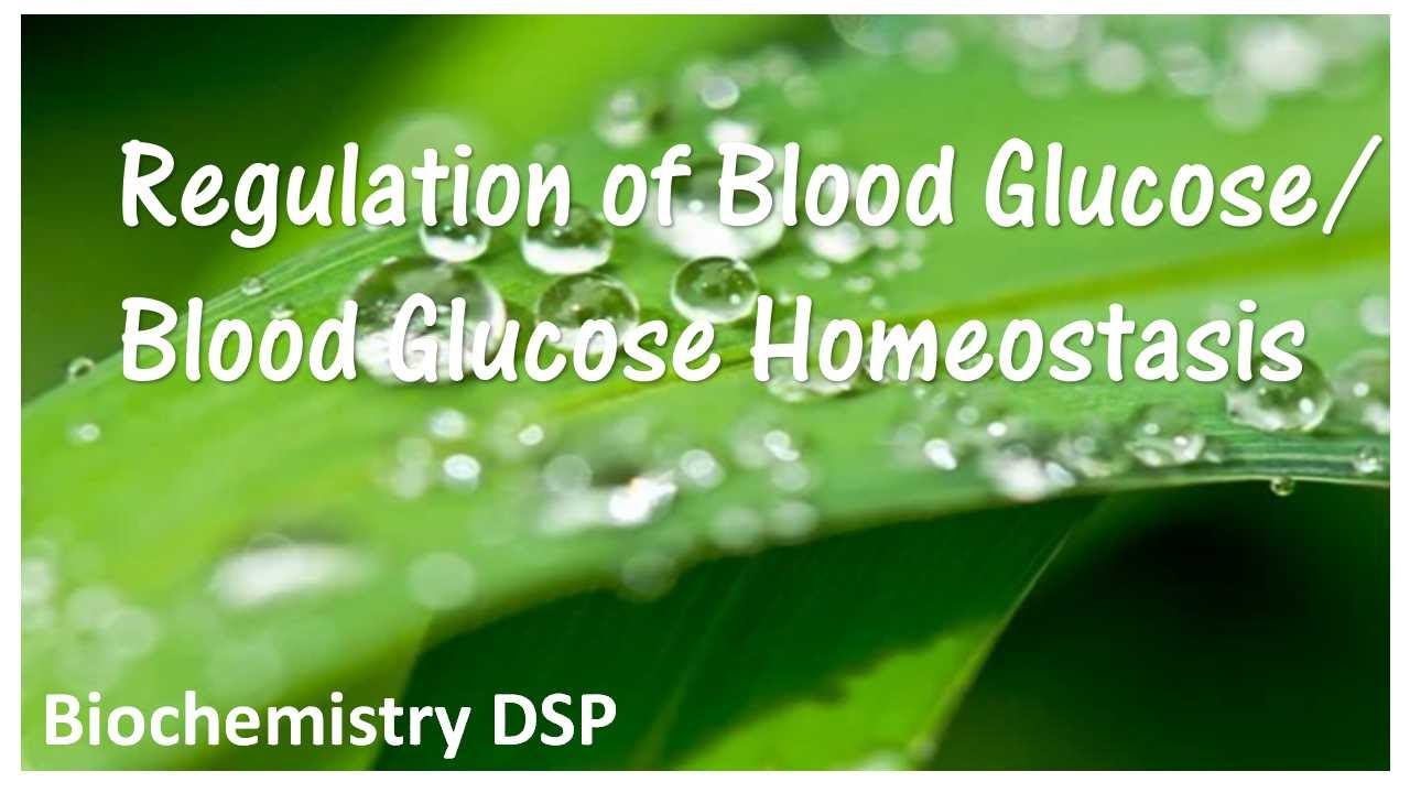 #BiochemistryDSP| Regulation of Blood Glucose| Blood Glucose Homeostasis| Diabetes Mellitus
