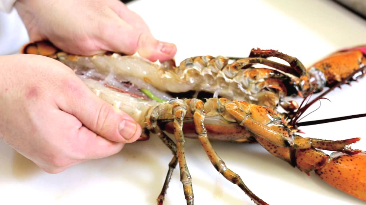 Baked Stuffed Lobster at Stonehurst Manor