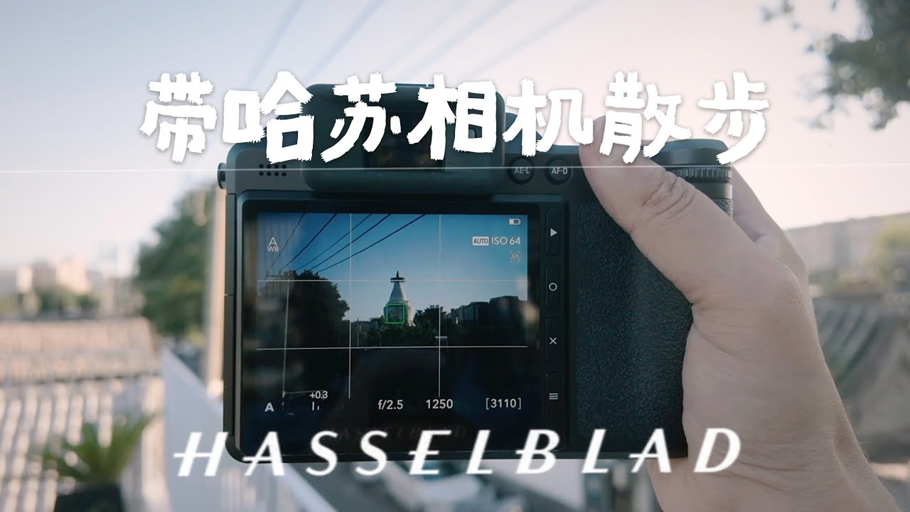 哈苏X2D|北京胡同散步vlog