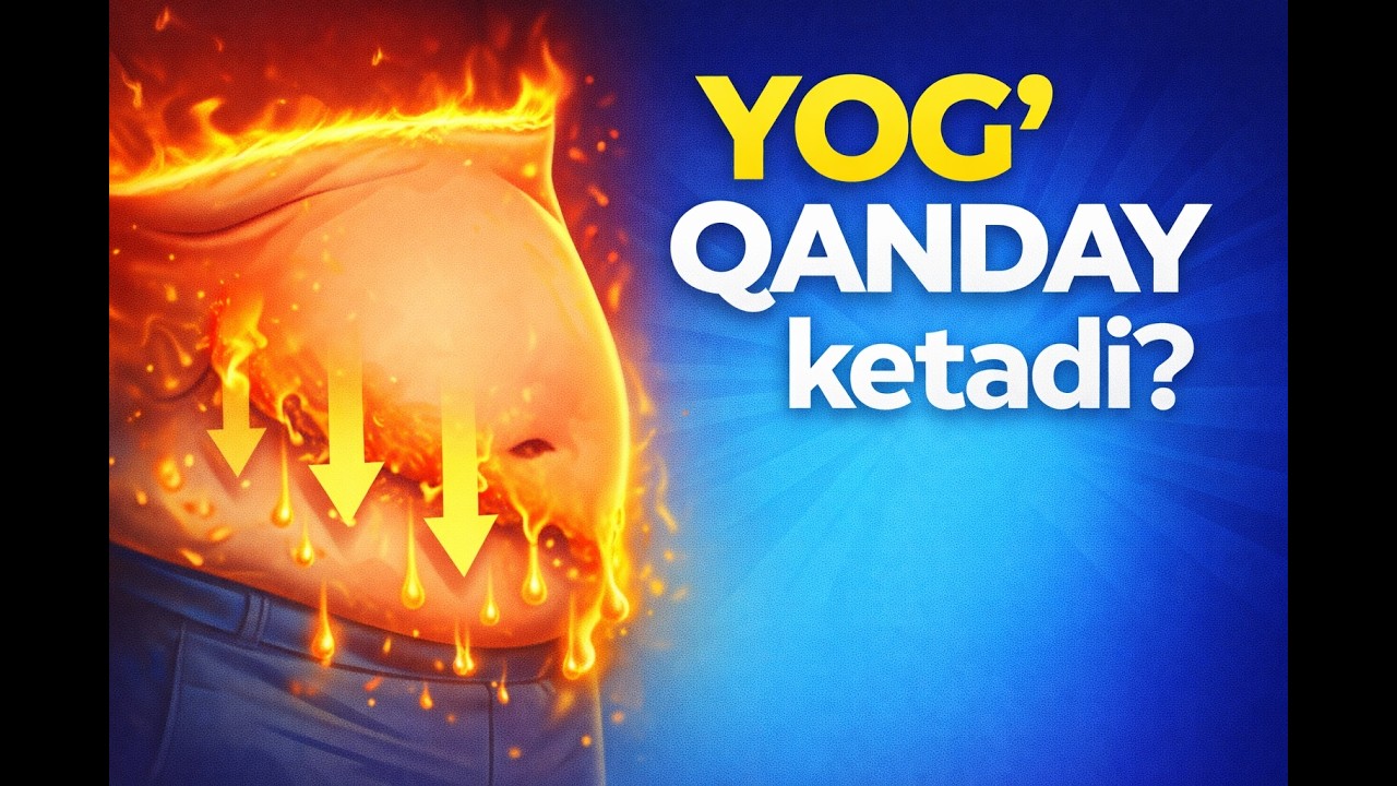 Yog'dan Qutilish Uchun 3 ta Mexanizm! Ilmiy asoslangan ma’lumot!