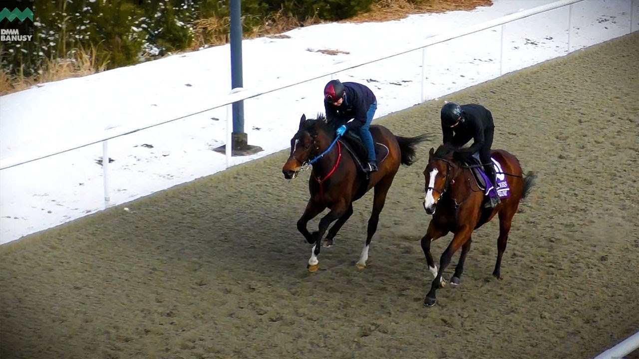 【ラヴズオンリーユー】現役最後の併せ馬で送る、盟友へのエール