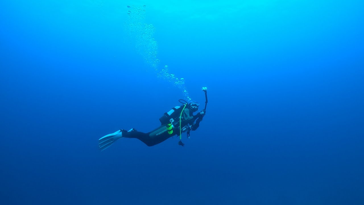 沖縄本島 真栄田岬でセルフダイビング・もう一発深場行ってヤシャハゼ教えてダラダラ潜ってきた Scuba Diving in Cape Maeda, Okinawa, Japan GoPro11