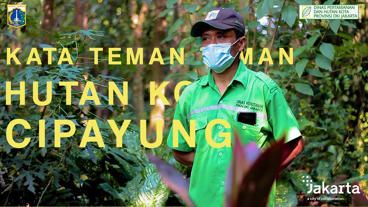 Kata Teman Taman : Cerita Hutan Kota Cipayung