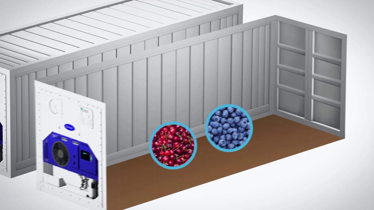 Carrier Transicold &ndash; Taking Freshness Further