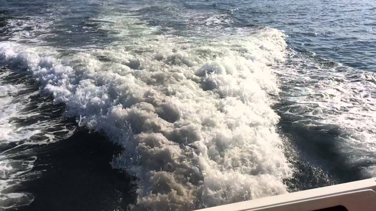 Sea Ray 310 Volvo Penta AD41 sea trial シーレイ 310 ボルボペンタ AD41 試乗　中古艇