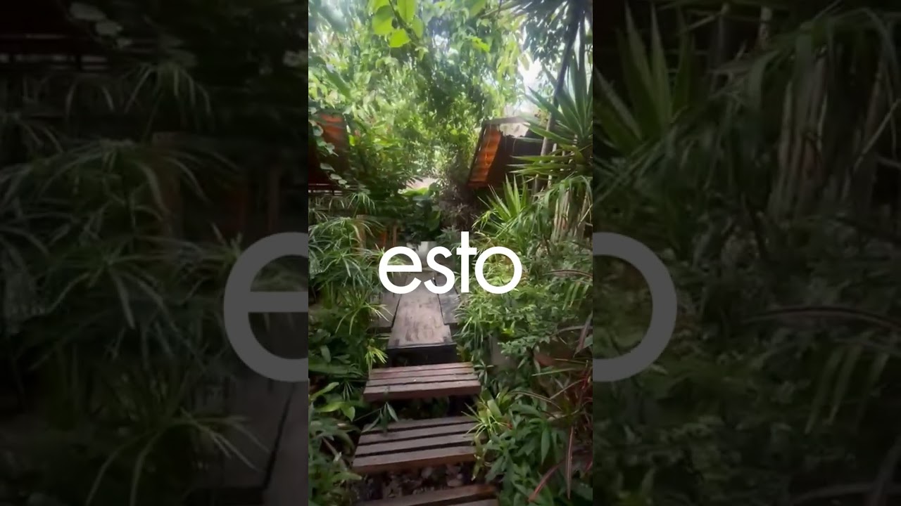 Conoce saberíco en Antigua Guatemala 🍃💚