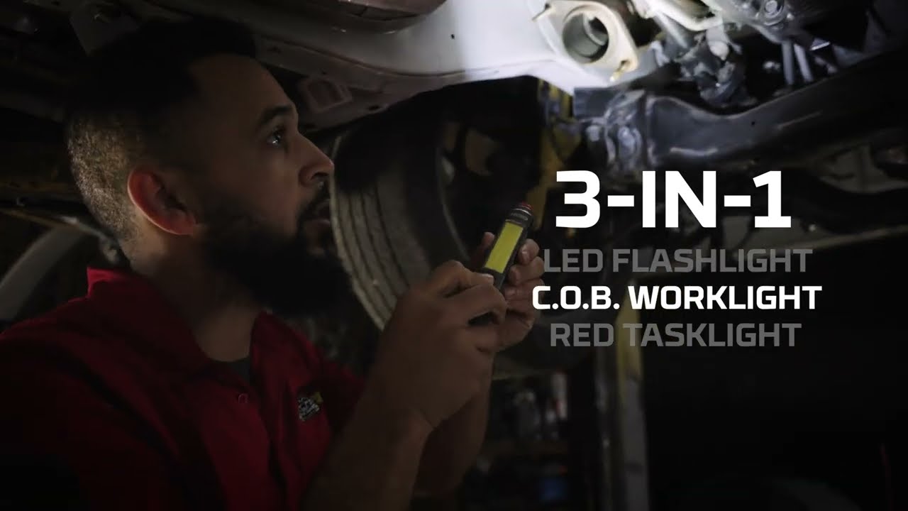 Big Larry&trade; - 600 Lumen Flashlight with COB Worklight Alkaline (16x9)