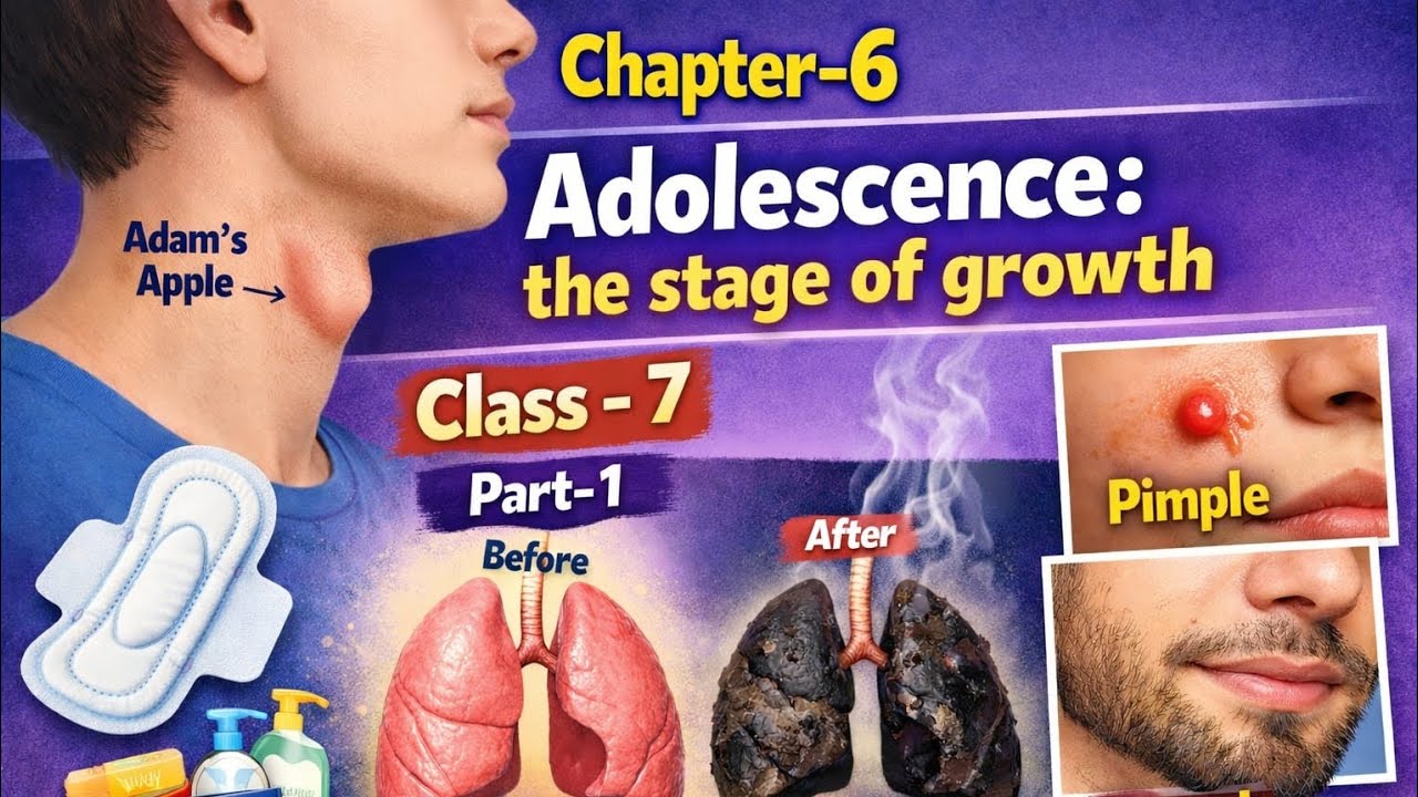 Adolescence: The Stage of Growth and Change|Class 7 Science Chapter 6|Curiosity part~1#curiosity#new