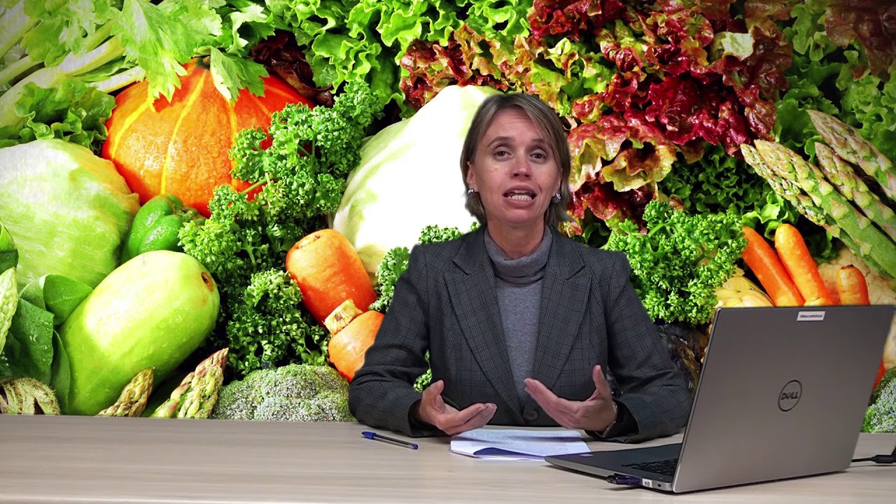 Histórico das políticas de alimentação e nutrição no Brasil