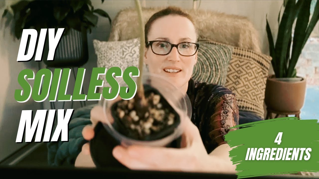 Beginner&rsquo;s Guide to Semi-Hydro + DIY Chunky Soil-Free Mix | Repot With Me