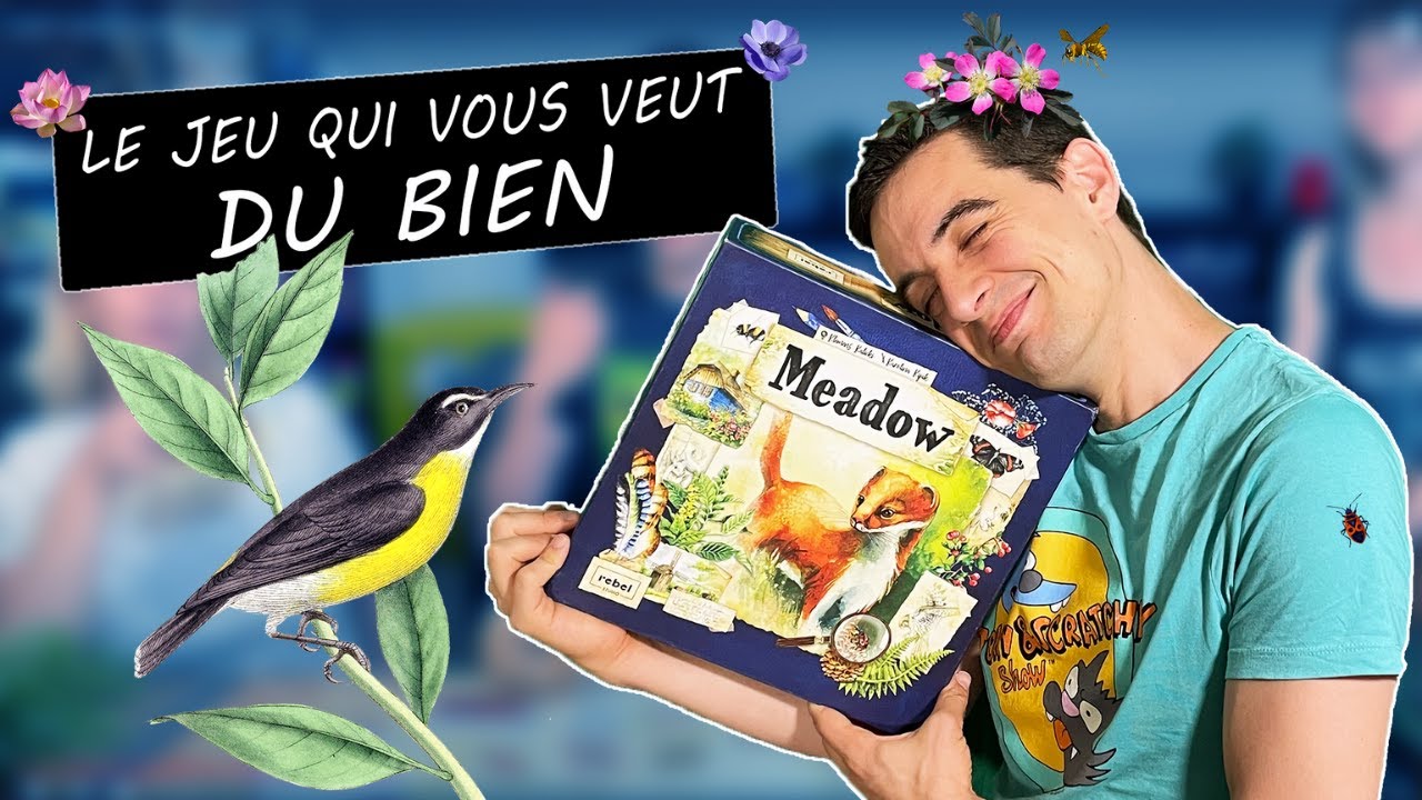 C'EST L'AVIS : MEADOW🌳