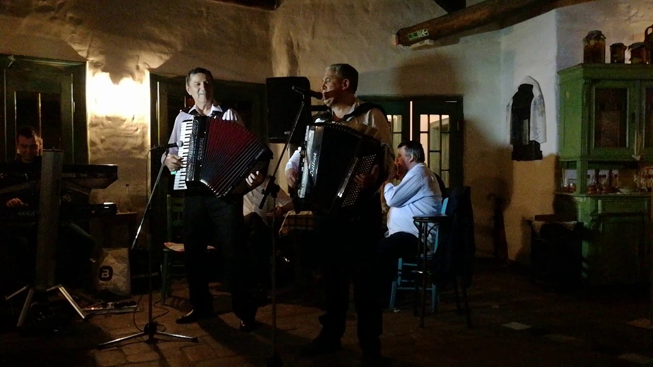 Maestro Ljubisa Pavkovic uz orkestar Zorana Danilovica Krpice 7.deo