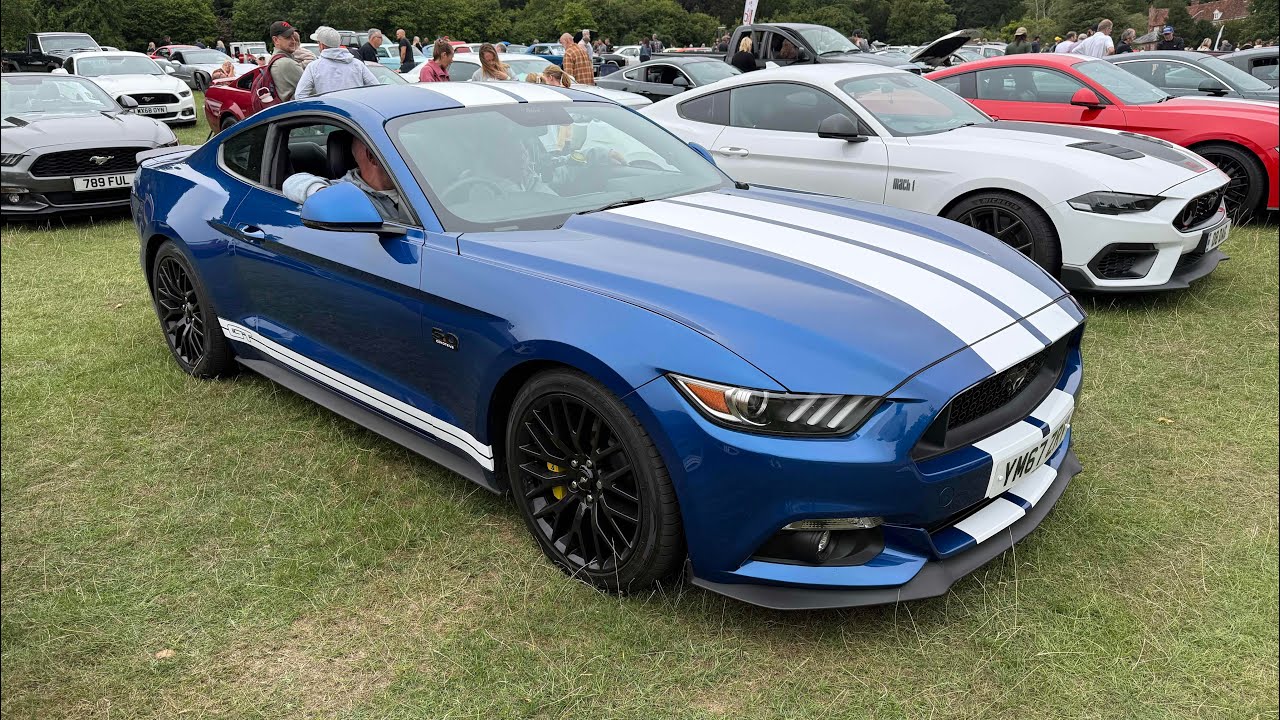 Rally Of The Giants Car Show Stonor Park 2024/2025 Visits