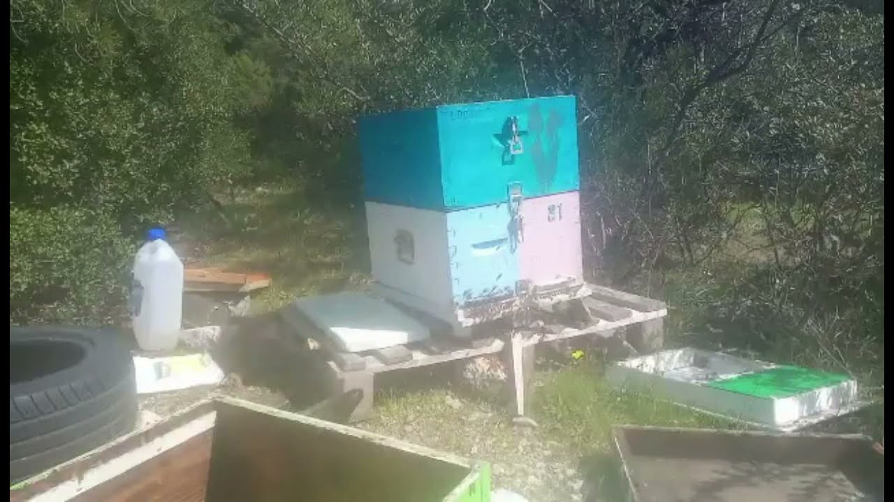 Μελισσι Εναρξης Αποπερατωσης 3/4/21