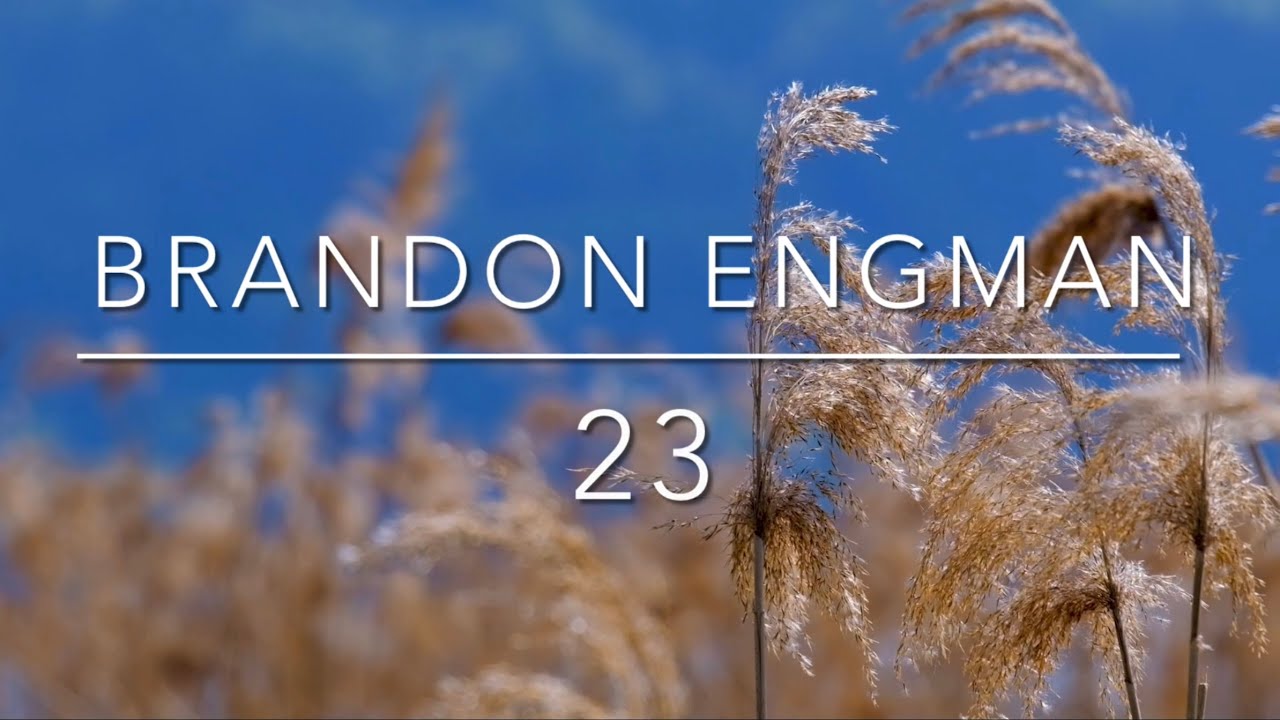Brandon Engman - 23 | English and Slovak lyrics | Anglický a Slovenský text