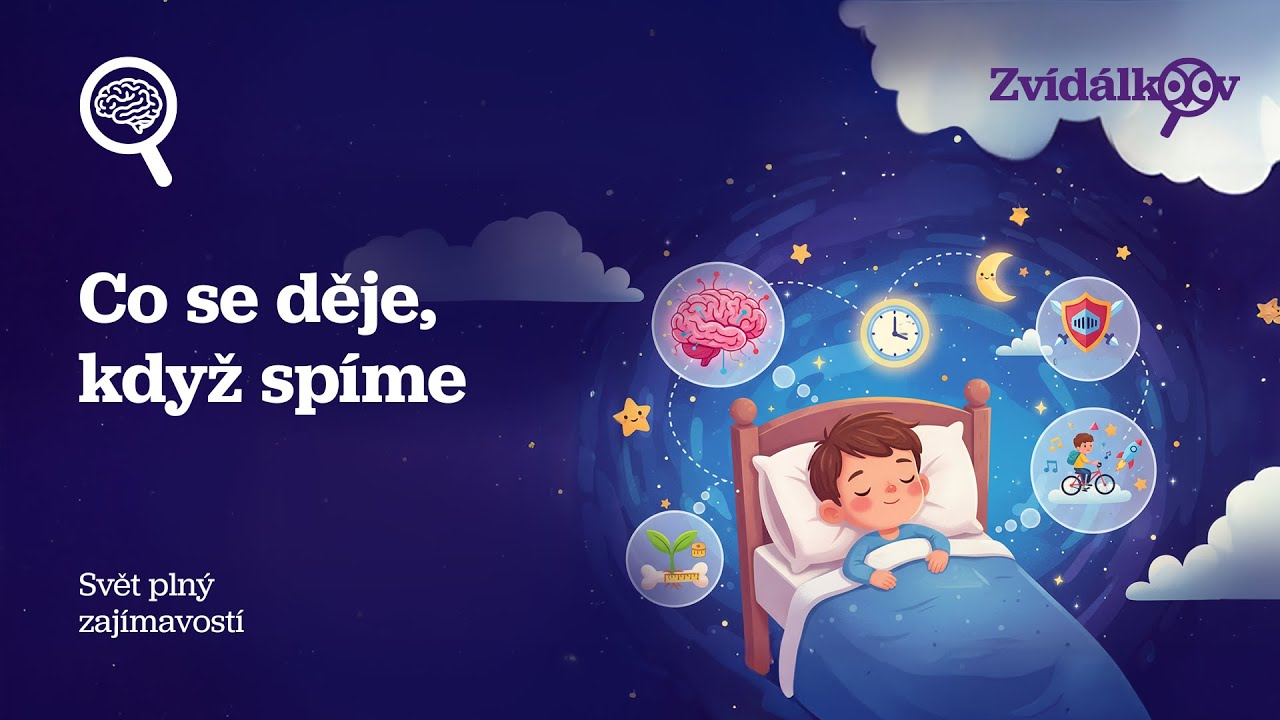 CO SE DĚJE, KDYŽ SPÍME 😴 - audio encyklopedie pro děti (2026)