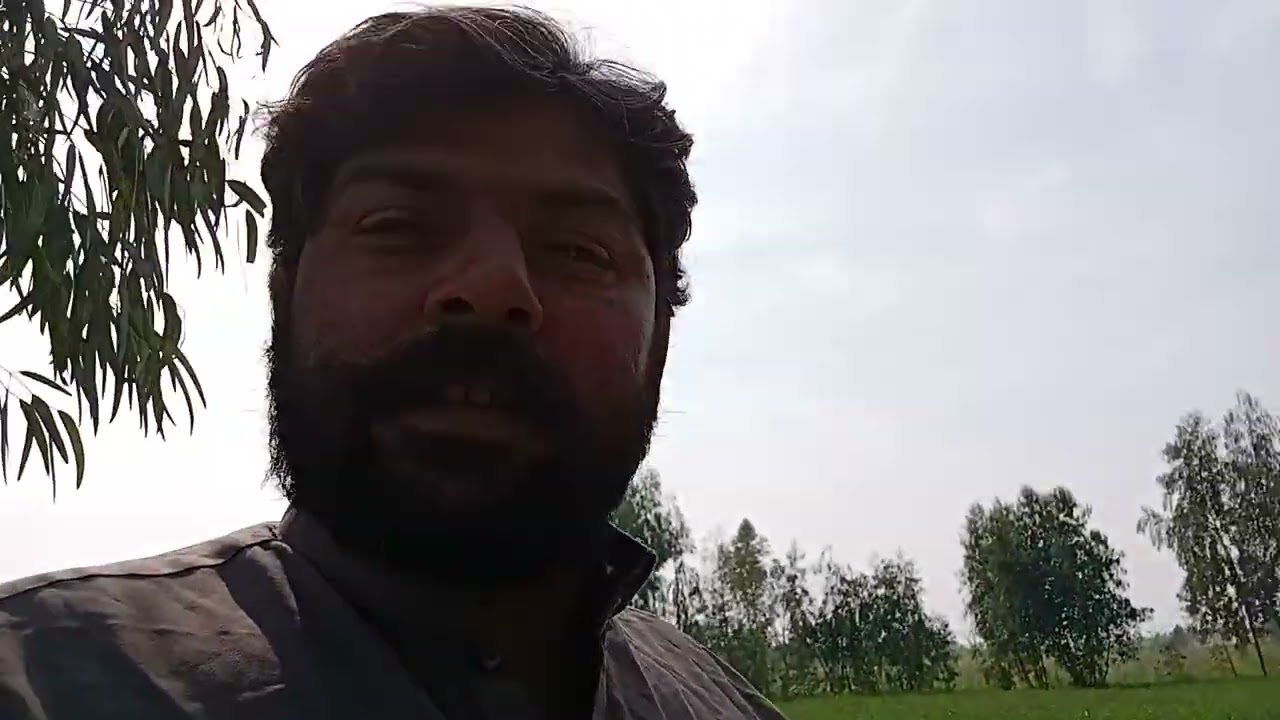 تھل میں فصلوں کا حال