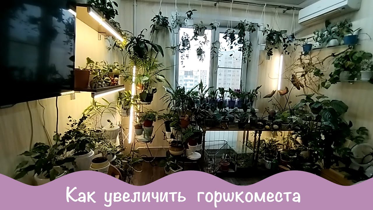 Места нет, а цветов хочется? Как разместить больше растений на ограниченной площади.
