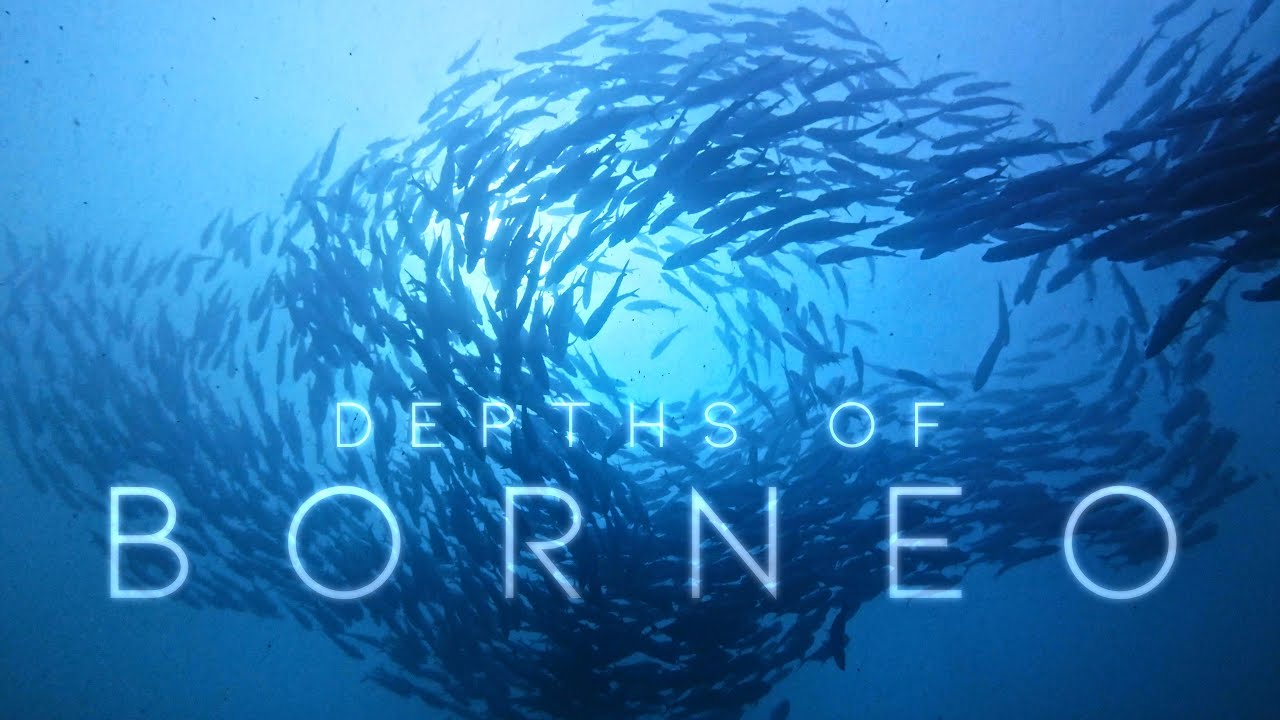 BORNEO ⧸ Explore the depths of Sipadan Island