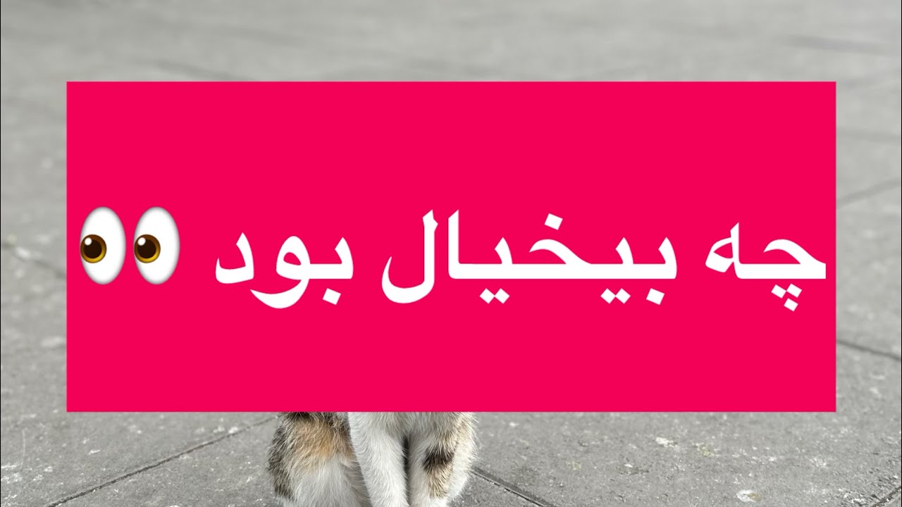 یه سفر جذاب و هیجان انگیز از جنوب تا شمال ✨🤌🏻🥰😍