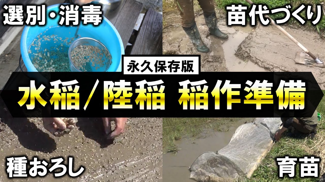 【永久保存版】田植え前にやるべき作業を完全解説‼