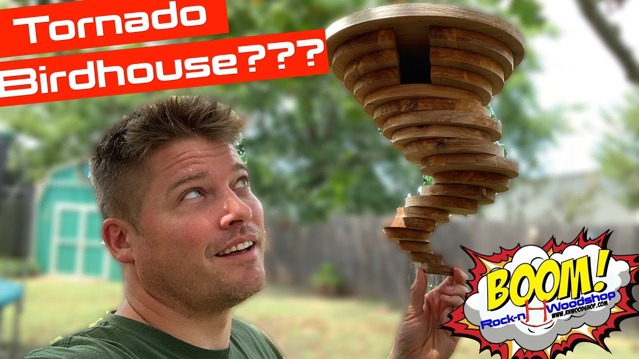 One-of-a-kind BIRD HOUSE You've EVER Seen!