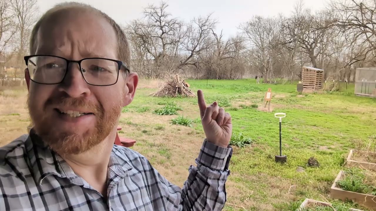 Central Texas Homestead Update 02-20-2025
