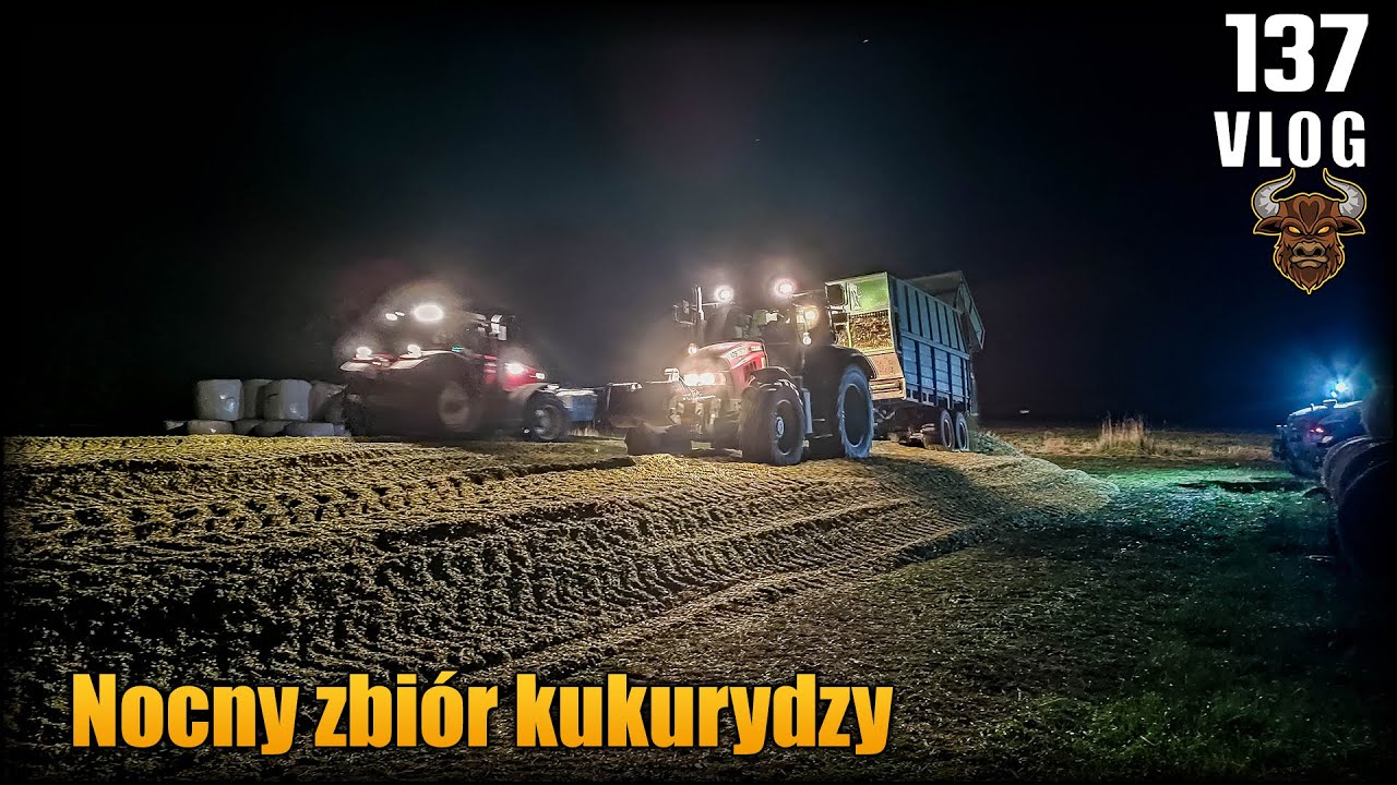 Nocny zbiór kukurydzy. Mamy zapas paszy! Jaguar & zestawy z okolicy | Vlog #137