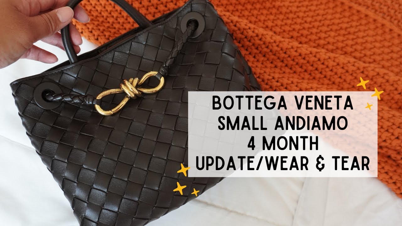 Bottega Veneta Small Andiamo in Fondant | 4 Month Update + Wear and Tear ... Is it worth it?!
