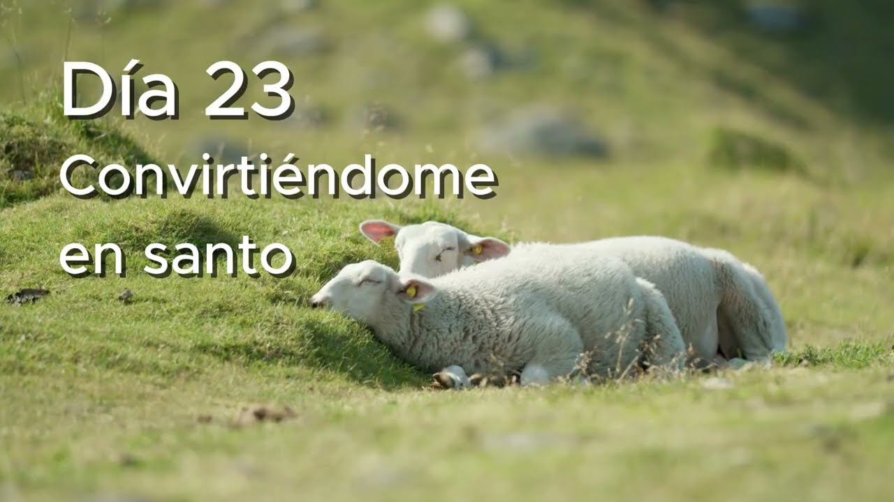 Día 23 I Santo por Gracia I La Belleza de Su Santidad: Alabanza y Transformación #pandiario