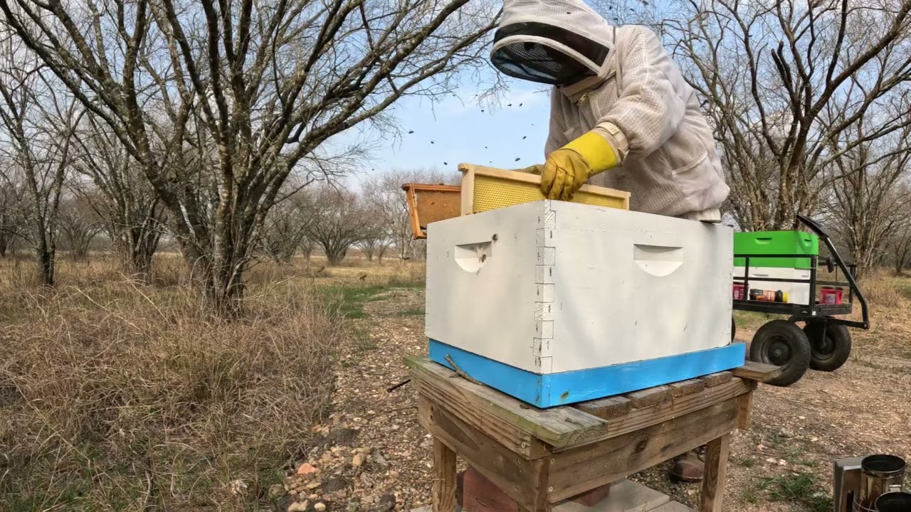 It's late Winter.  Why would I add a second hive box?