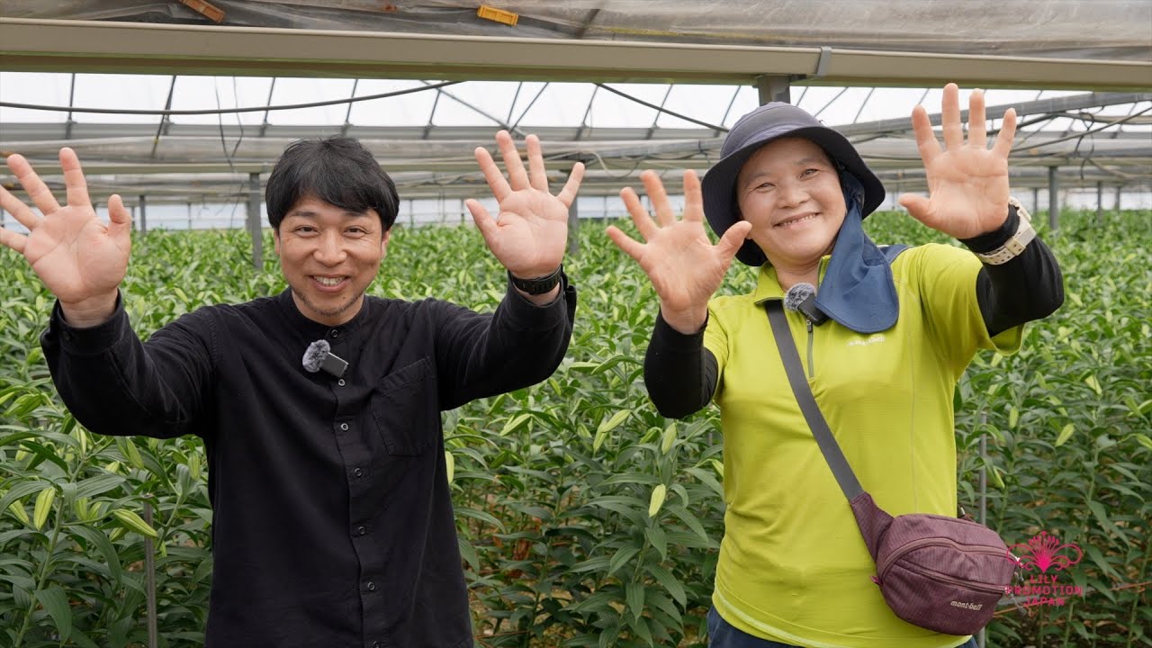 【高知のユリ農家】宮﨑博子さんインタビュー：花屋さんと共に、未来を「おもろがる」花づくり