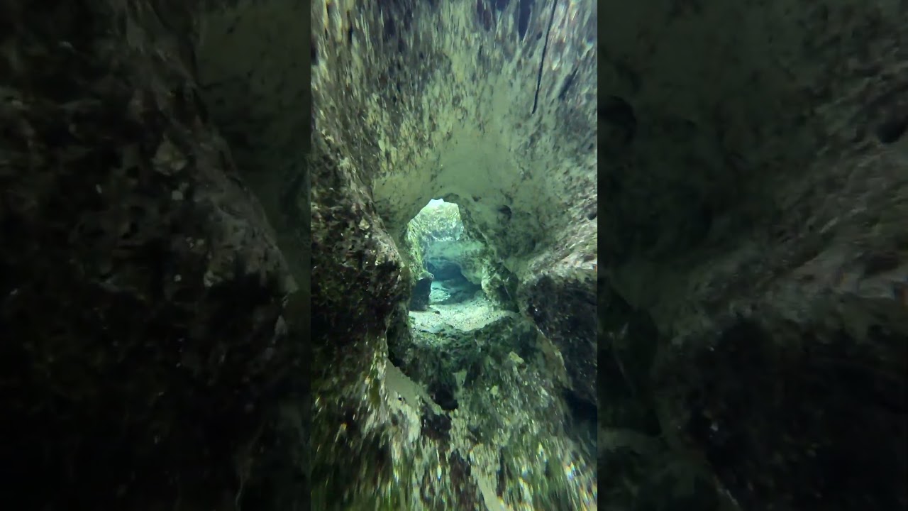 SEVEN SISTERS SPRINGS ~ Homosassa ~ Florida