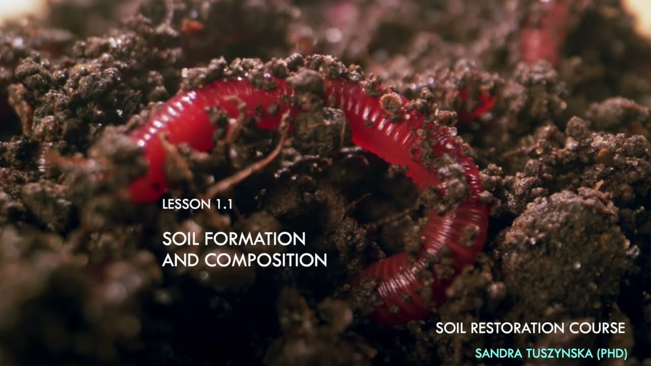 Lesson 1.1 - Soil formation and composition