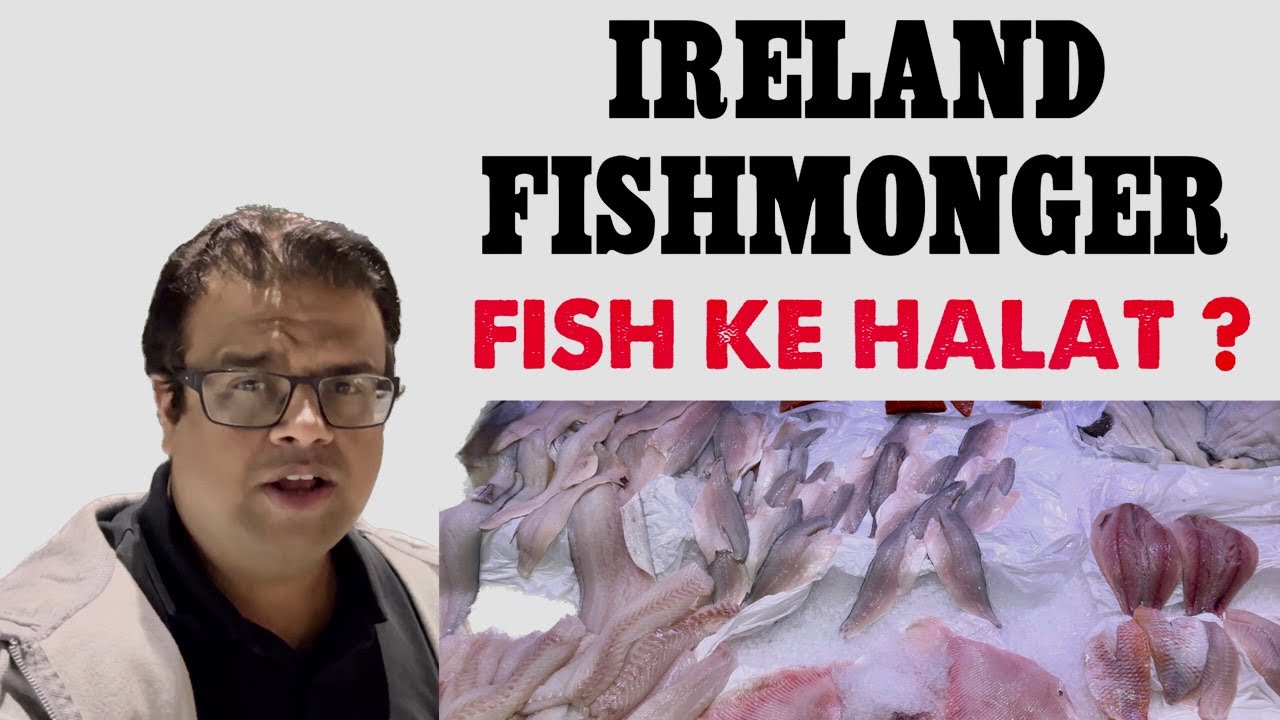 Ireland fishmonger Shopping |fish | fishing | @GabrielIreland
