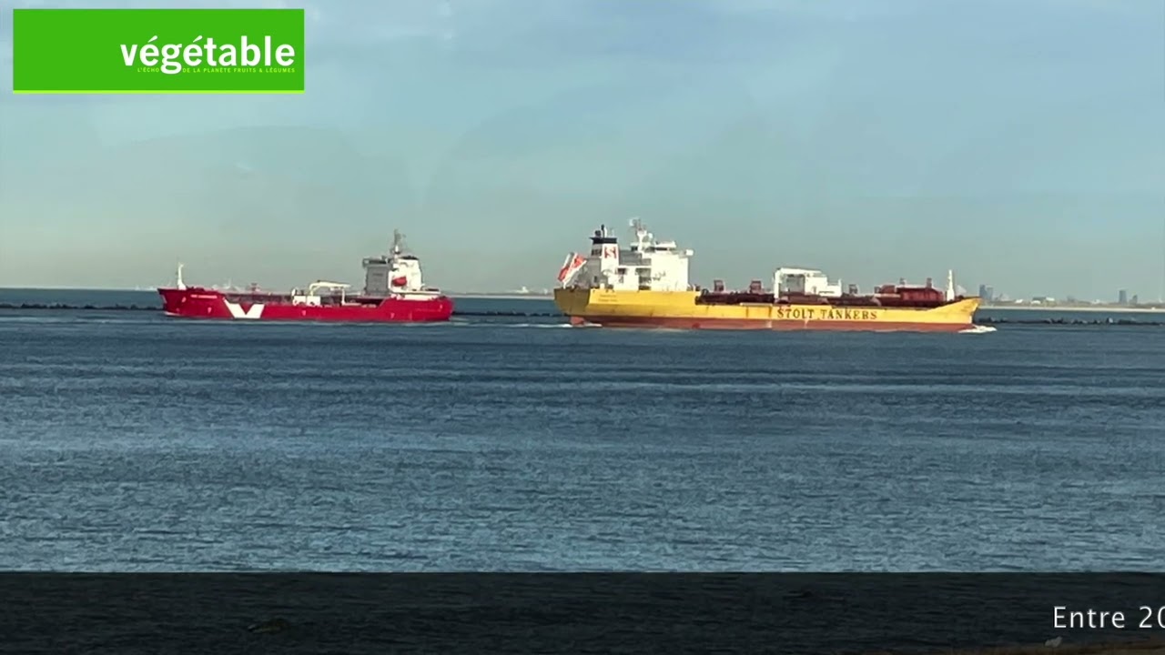 Reportage aux Pays-Bas : visite du port de Rotterdam