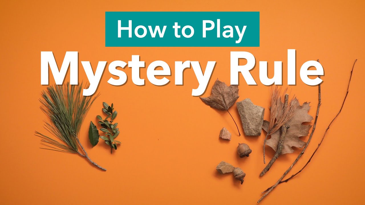 Mystery Rule | Play this game anywhere! Children try to figure out how the objects are sorted!