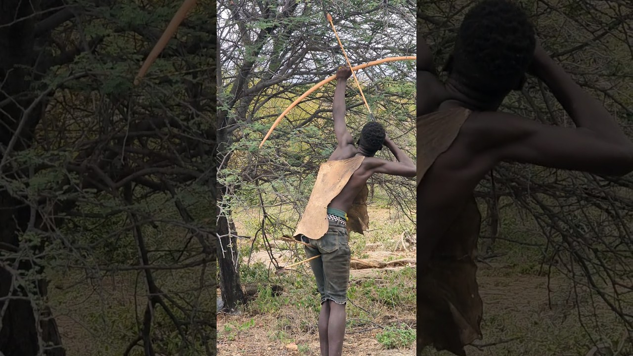 Hadza hunt with handmade bows and arrows: see this #africantribe #hadzabetribe