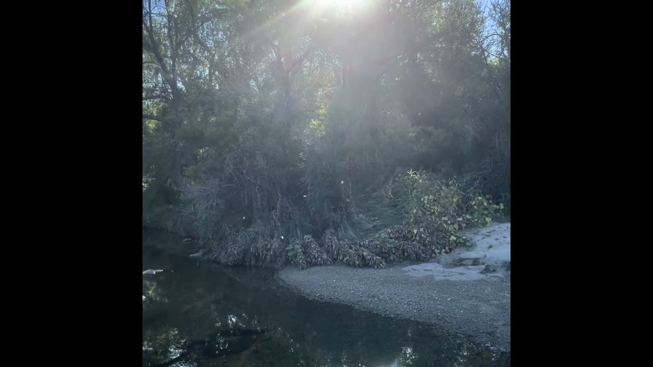Expedition 7 - Coronado National Forest (And Beyond)