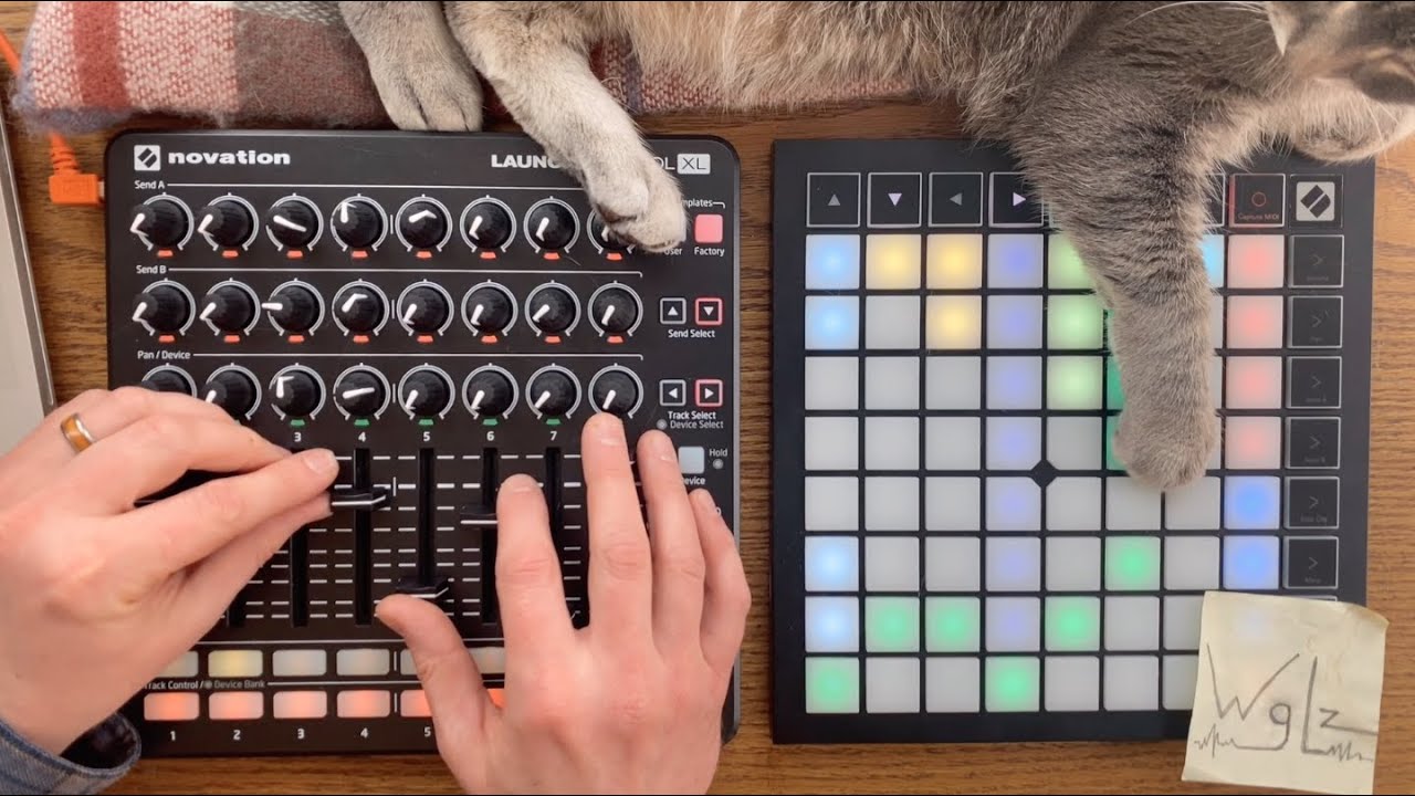 WgLz - Edge of Dawn (Ableton Live performance with Launch Control XL and Launchpad X, cat)