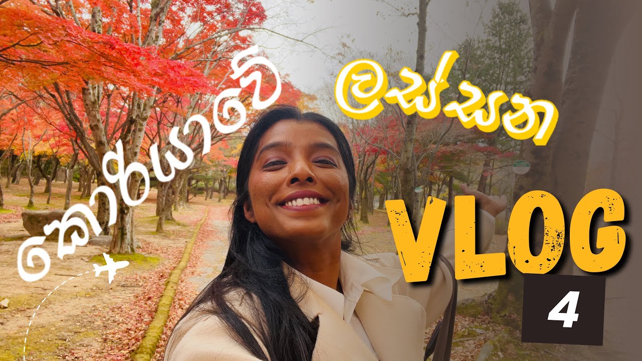 Day 4 | කොරියාව මෙච්චර ලස්සනද? | තේගු වල ඉන්නේ අජුම්මලා අජුස්සිල විතරද #deagu 