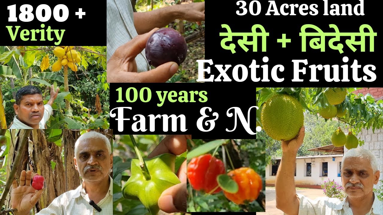Exotic fruits farming in India, 1800 verities fruits, देसी + बिदेस फल, fruits farming, #fruitsfarm