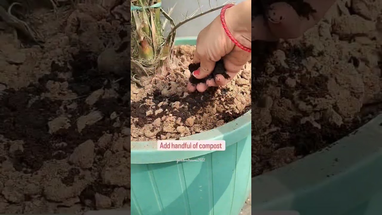 How to use Vermicompost? 