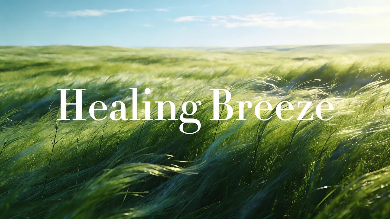 Relaxation Music, Stress Relief, Meditation — Healing Breeze 🌬️