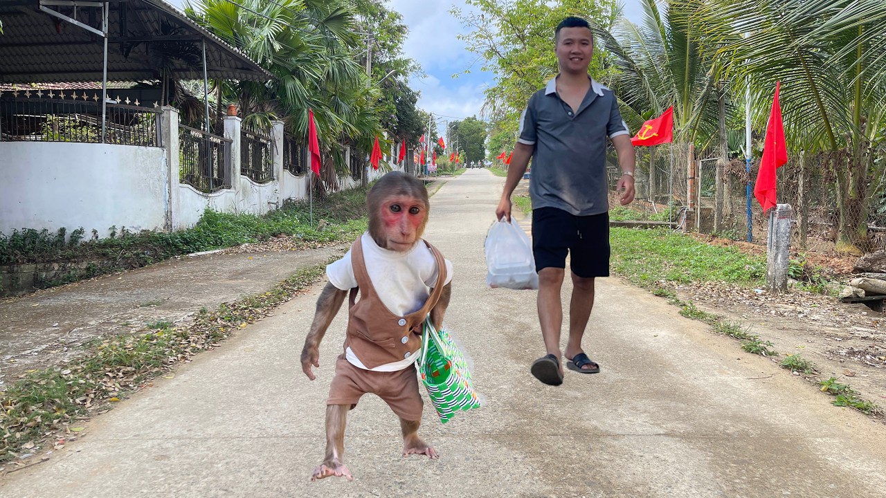 Cubis and Dad Go to the Market and Cook a Simple Happy Meal ❤️