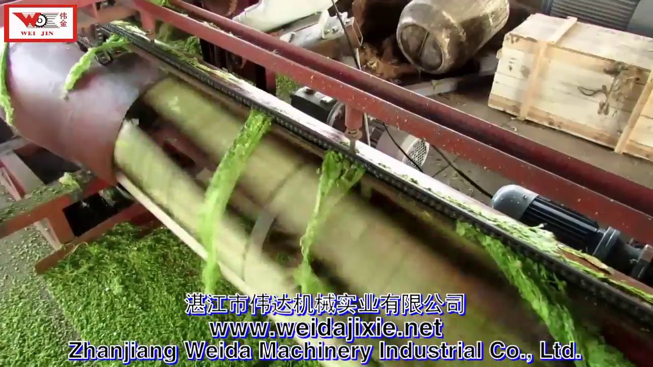 Fully automatic decorticator for pineapple leaf