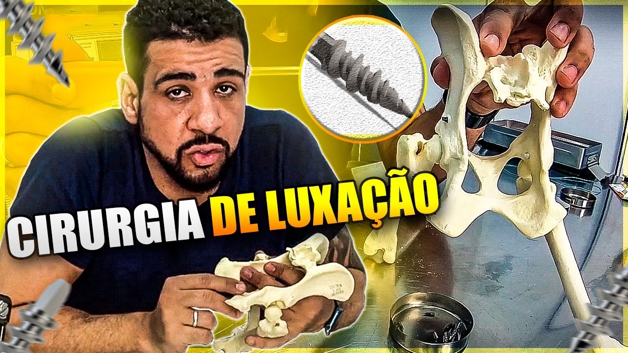 COMO É A CIRURGIA DE LUXAÇÃO DE CABEÇA DE FÊMUR COM ÂNCORAS NA ORTOPEDIA VETERINÁRIA?