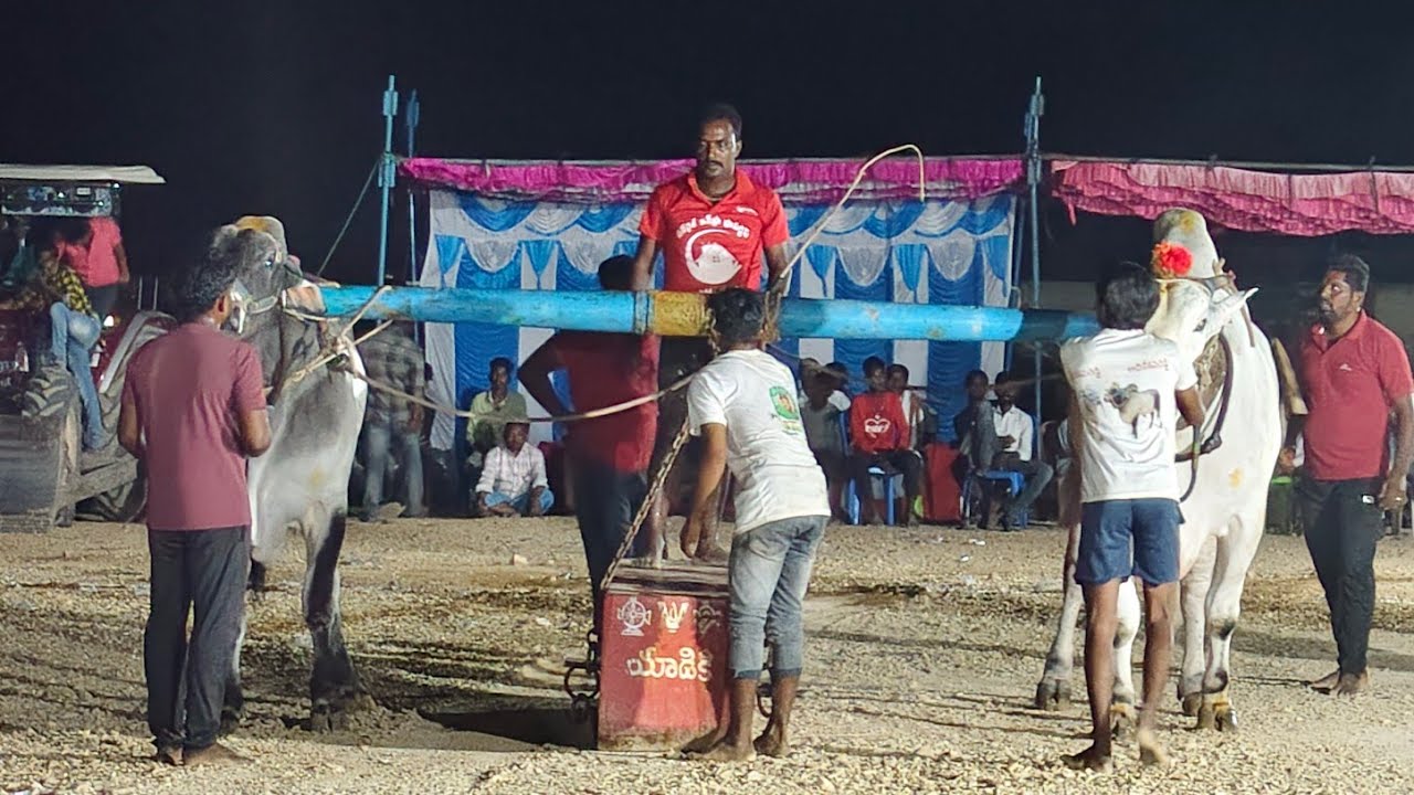 2026-యాడికి.సీనియర్స్.8వ జత.తోట తిరుపాల్ రెడ్డి గారు మేడిమాకులపల్లి (ఆదికేశవరెడ్డి చెన్నకేశవరెడ్డి)