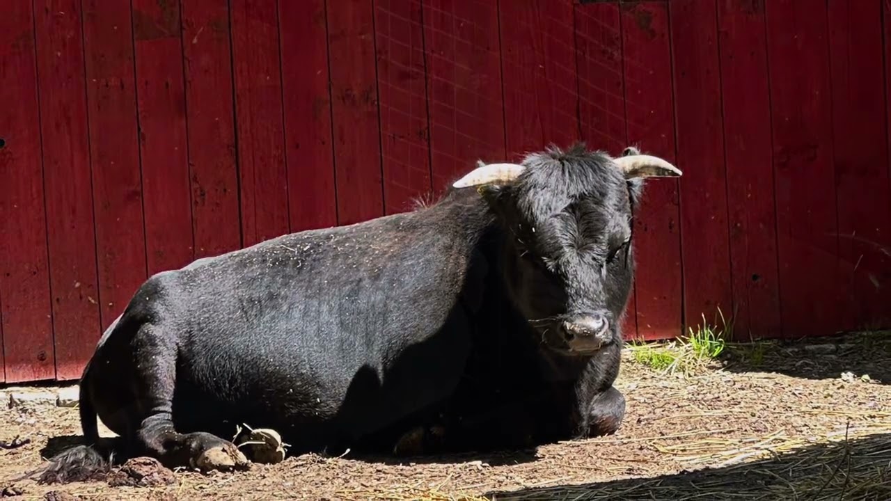 Zoo Hof - Kleintierzoo