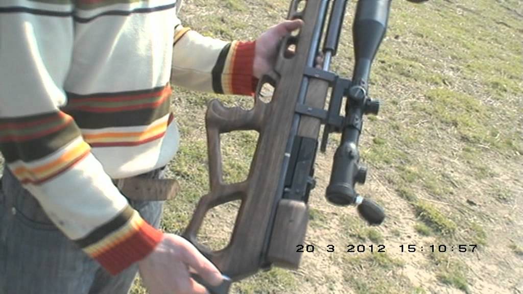 Hatsan AT44-10 & bull-pap ( 5.5 cal)